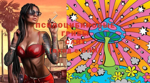 PSILOCYBIN Красноперекопск