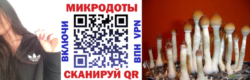 Псилоцибиновые грибы прущие грибы  цена наркотик  Поворино 
